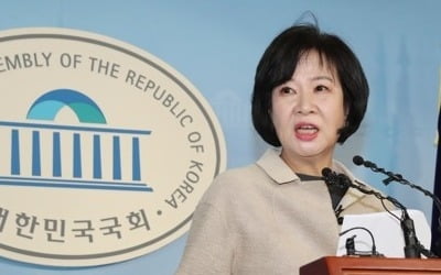 검찰로 간 손혜원 의혹…'미공개정보 이용' 규명이 관건