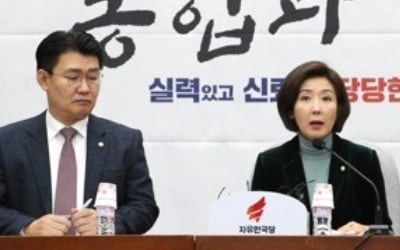 나경원 "국회 총리추천제 되면 연동형 비례대표제 논의"