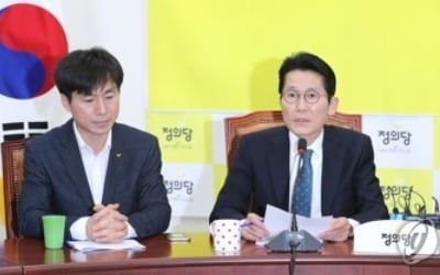 윤소하 "與 선거제 개혁안, 연동형 비례제 원칙 비껴가…유감"