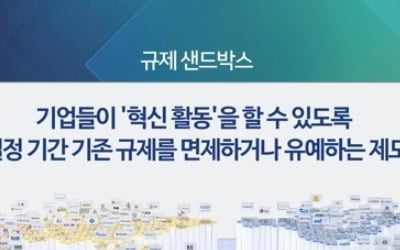 "모래성 안돼야"…'규제 샌드박스' 심의 전문가기구 출범