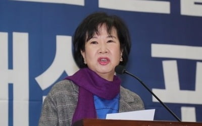 국립중앙박물관, 손혜원 의원 인사 압력 사실상 시인