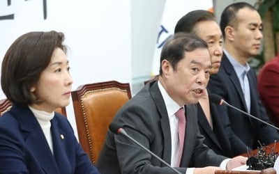 김병준 "손혜원, 배지 단 최순실…권력을 사업 도구로"