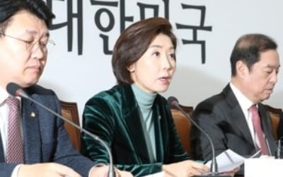 나경원 "손혜원, 이해충돌이 아니라 권력남용 범죄"