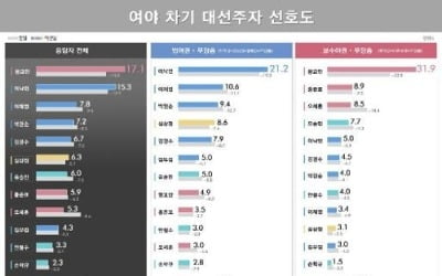 차기 대선주자 선호도, 황교안 17.1%, 이낙연 15.3%[리얼미터]