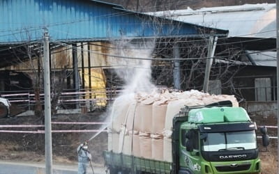 구제역 기습발생에 설 앞둔 축산 유통업계도 울상