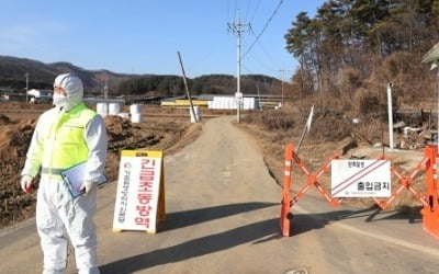 "혹여 번질라" 안성 구제역에 인접 지자체도 방역 비상