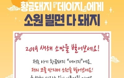 "설 연휴 가족 고객 잡아라"…유통업계 다양한 이벤트