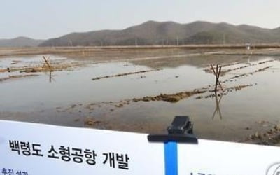 백령도 공항 건설 탄력…국방부 NLL 비행금지구역 완화 동의