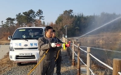 AI 항원 검출 경남 사천만 차단 방역 강화