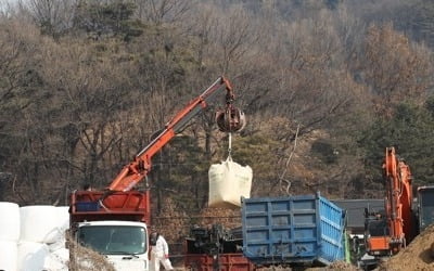 "일방적 살처분 통보"…안성시 대응에 축산인 '섭섭'