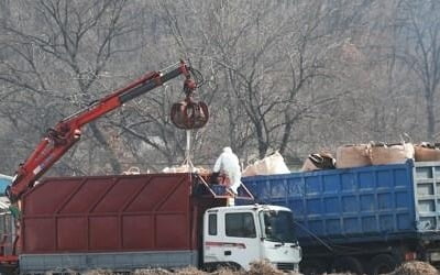 안성 구제역, 축산차량으로 농장 간 전파 가능성