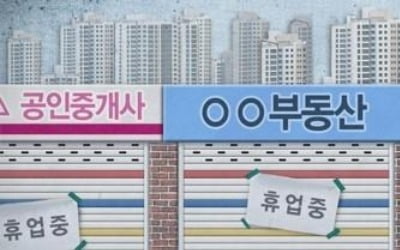 작년 부동산과열에 허위매물 봇물…중개업소 2078곳 '제재'