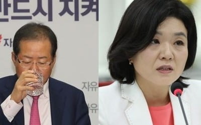 법원 "홍준표, 류여해 '모욕'…위자료 300만원 줘야"