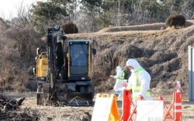 구제역 방역 '초강수'…전국 48시간 이동중지·축산모임 금지