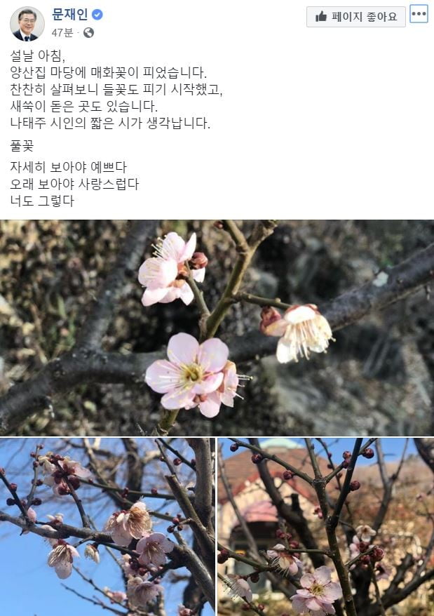 사진=문재인 대통령 SNS