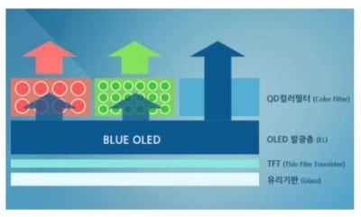 "삼성, 7년만에 대형 OLED 투자…차별화 기대"