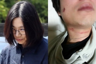 조현아 남편, 아내 폭언 영상·녹취록 공개한 속사정