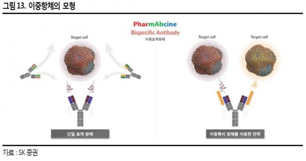 이중항체 구조=SK증권