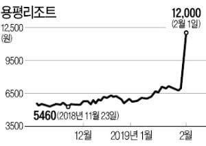 '경협株 다크호스'로 부상한 용평리조트