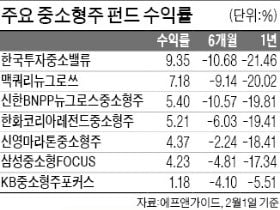 종목 장세 계속된다는데…'똘똘한' 중소형株 펀드를 찾아라