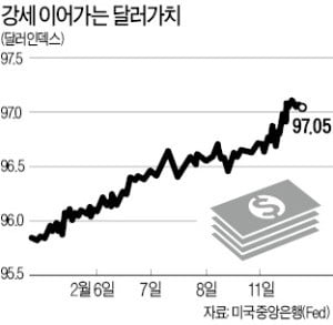 美 Fed, 긴축 멈췄는데…달러 가치 '이상 강세'