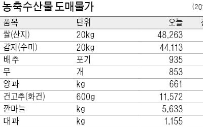 연휴 끝나 신선식품 가격 하락세…과일·채소 평년보다 최대 50%↓