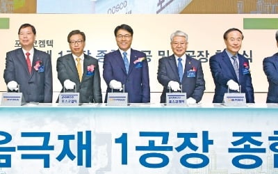 포스코, '2차전지 소재' 등 非철강 부문서 수익 20% 창출