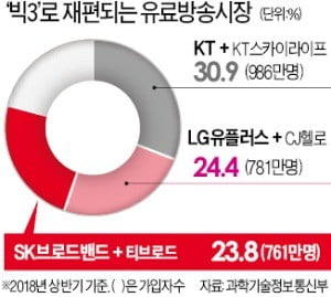 [단독] SKB, 티브로드와 합병…유료방송 '빅3' 체제로