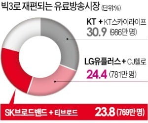 기업가치 5조원 대형 유료방송 탄생…합병법인, 딜라이브 인수전도 뛰어들지 관심