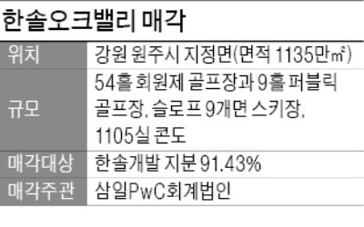 [마켓인사이트] 오크밸리 리조트 매각 본입찰에 트루벤·YG컨소시엄 참여