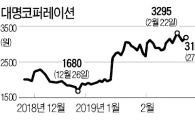 [마켓인사이트] 대명코퍼에 투자한 도미누스…수익률 63% '대박'