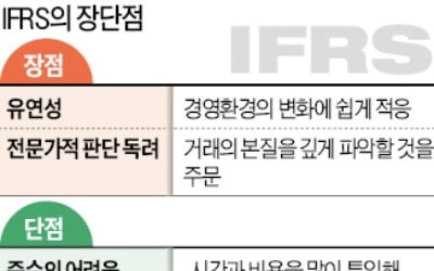 "불명확한 회계기준으로 생긴 비효율, 기업에 떠넘겨서야"