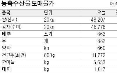 급식 수요…감자 13% 상승