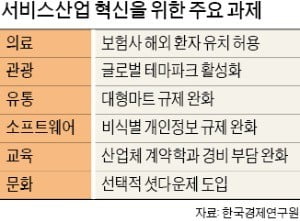 "보험사 해외환자 유치 허용해야"