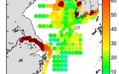 미세먼지도 모자라…중국발 수은도 우리 바다에 쌓인다