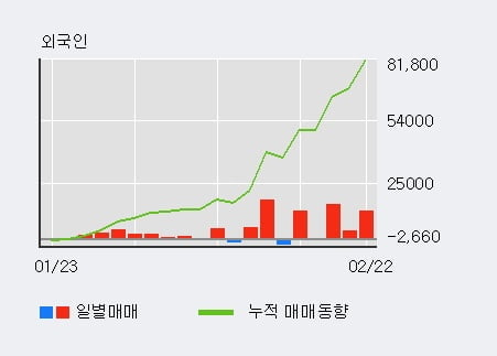 [한경로보뉴스] '디에스케이' 52주 신고가 경신, 전일 외국인 대량 순매수