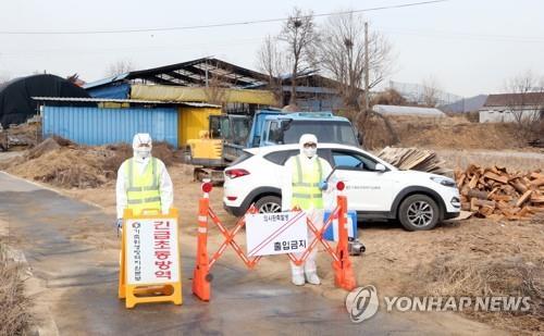 구제역 의심 충주 노은면 한우 농가 소 '음성'으로 판정