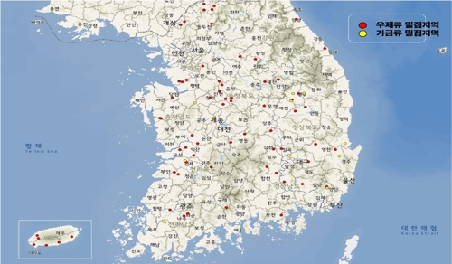 설날에도 전국 방역 구슬땀…구제역 엿새째 '잠잠'