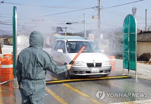 구제역 추가 미발생 땐 충북 우제류 이동제한 25일께 전면해제