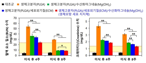 신장이식 대신 조직재생 유도…고분자물질 제작 성공