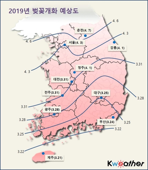 "벚꽃 개화 평년보다 4∼7일 빨라…제주 3월21일·서울 4월3일"