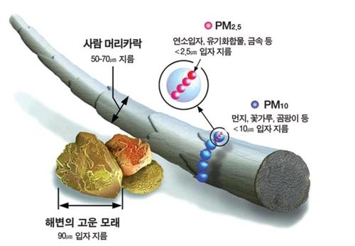 "미세먼지, 호흡기질환자에 '실질적' 위협…사망률 높여"