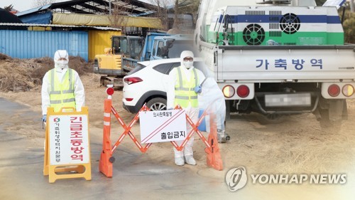 제주도, 구제역 차단방역 위해 방역본부→재난안전본부 전환