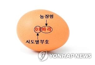 오래된 달걀 유통 차단…23일부터 달걀껍데기에 산란일자 표시