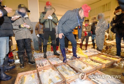 황금빛 '부세' 중국인 취향 저격…1㎏ 1마리 70만원에 거래