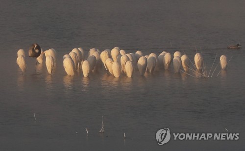 '춥다 추워' 화천 영하 17.9도…바람에 체감기온 '뚝'