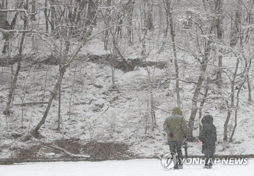 '우수'에 중부지방 많은 눈…곳곳에서 출근길 비상