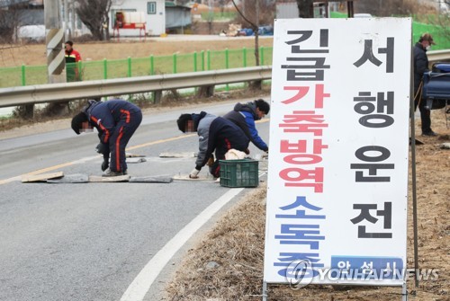 안성 구제역 열흘 넘게 '잠잠'…"추가 의심신고 없어"