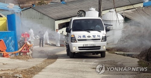 구제역 이동제한 모두 해제…"발생지 인근 이상 없어"