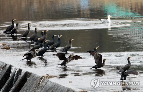 [내일날씨] 오전 곳곳 눈발 날려…수도권 등 미세먼지 '나쁨'